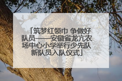 筑梦红领巾 争做好队员——安徽省龙亢农场中心小学举行少先队新队员入队仪式