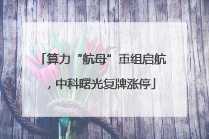 算力“航母”重组启航，中科曙光复牌涨停