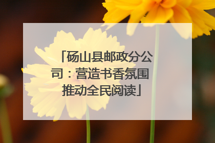 砀山县邮政分公司：营造书香氛围 推动全民阅读