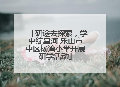 研途去探索，学中绽星河 乐山市中区杨湾小学开展研学活动