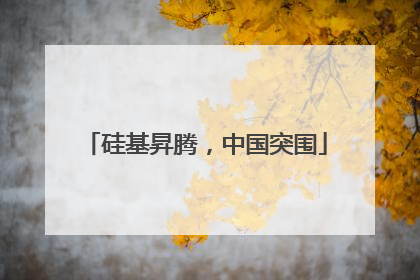 硅基昇腾，中国突围