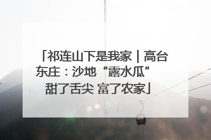 祁连山下是我家｜高台东庄：沙地“露水瓜” 甜了舌尖 富了农家
