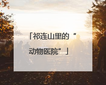 祁连山里的“动物医院”
