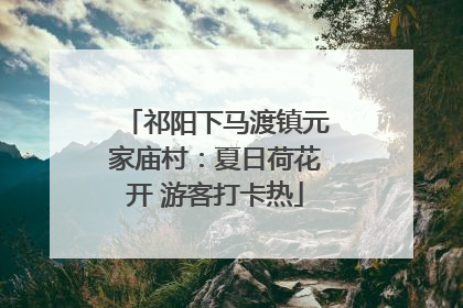 祁阳下马渡镇元家庙村：夏日荷花开 游客打卡热