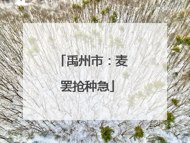 禹州市：麦罢抢种急