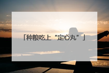 种粮吃上“定心丸”