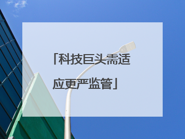 科技巨头需适应更严监管