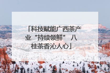 科技赋能广西茶产业“持续领鲜” 八桂茶香沁人心