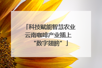 科技赋能智慧农业 云南咖啡产业插上“数字翅膀”