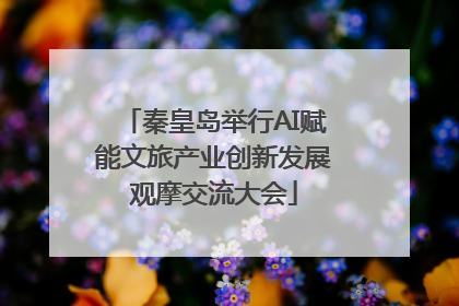秦皇岛举行AI赋能文旅产业创新发展观摩交流大会