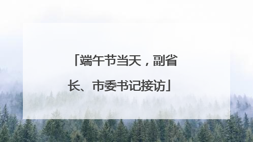 端午节当天，副省长、市委书记接访
