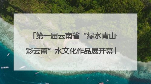 第一届云南省“绿水青山·彩云南”水文化作品展开幕