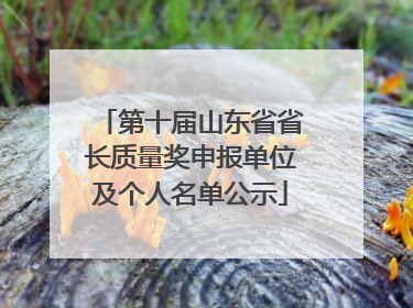 第十届山东省省长质量奖申报单位及个人名单公示