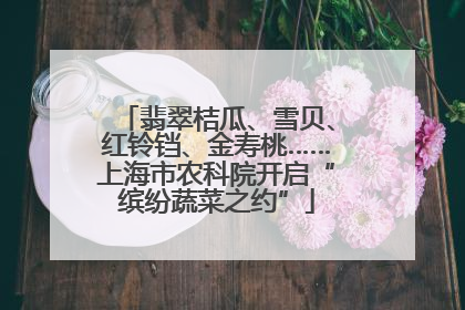 翡翠桔瓜、雪贝、红铃铛、金寿桃……上海市农科院开启“缤纷蔬菜之约”