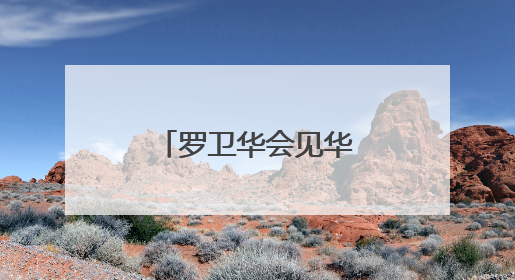 罗卫华会见华为公司客人