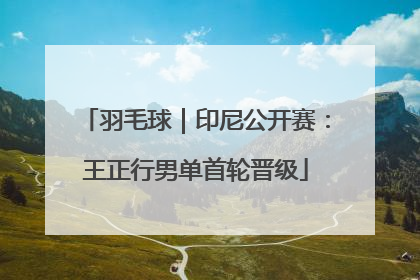 羽毛球｜印尼公开赛：王正行男单首轮晋级