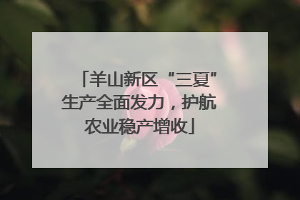 羊山新区“三夏”生产全面发力，护航农业稳产增收