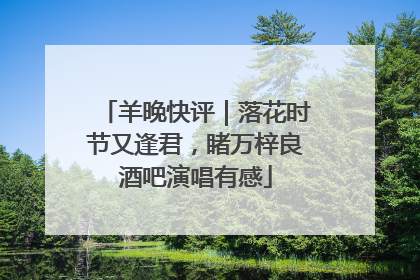 羊晚快评｜落花时节又逢君，睹万梓良酒吧演唱有感