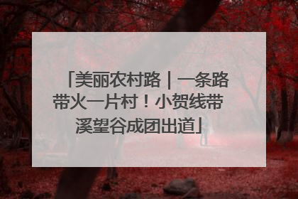 美丽农村路｜一条路带火一片村！小贺线带溪望谷成团出道