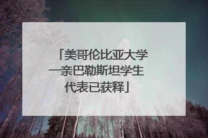 美哥伦比亚大学一亲巴勒斯坦学生代表已获释