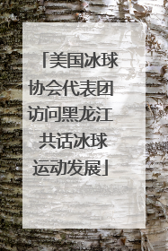 美国冰球协会代表团访问黑龙江 共话冰球运动发展