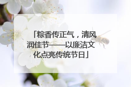 粽香传正气，清风润佳节——以廉洁文化点亮传统节日