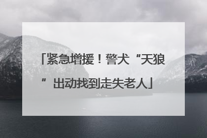 紧急增援！警犬“天狼”出动找到走失老人