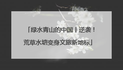 绿水青山的中国丨逆袭！荒草水塘变身文旅新地标