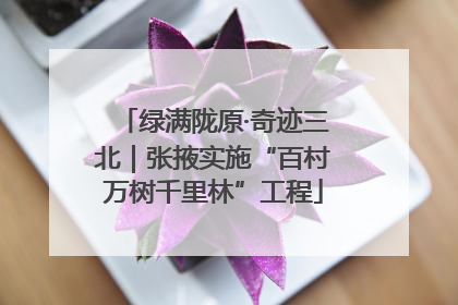 绿满陇原·奇迹三北｜张掖实施“百村万树千里林”工程