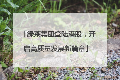 绿茶集团登陆港股，开启高质量发展新篇章