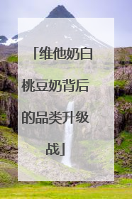维他奶白桃豆奶背后的品类升级战