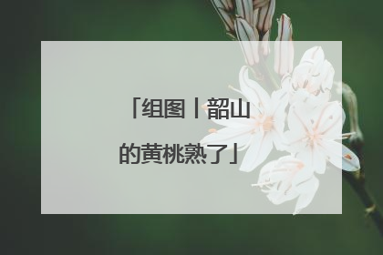 组图丨韶山的黄桃熟了