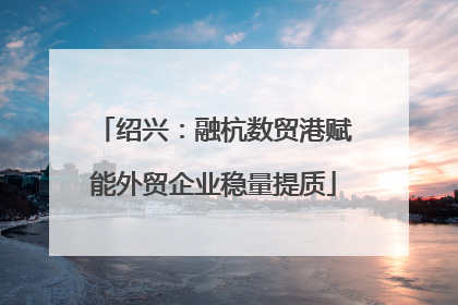 绍兴：融杭数贸港赋能外贸企业稳量提质