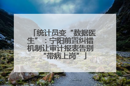 统计员变“数据医生”：宁阳前置纠错机制让审计报表告别“带病上岗”