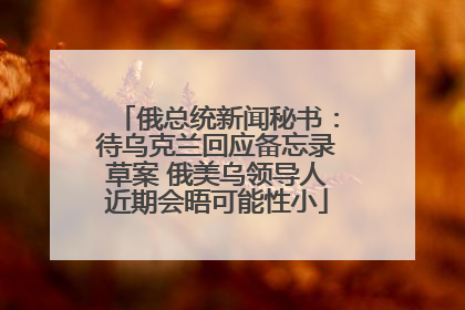 俄总统新闻秘书：待乌克兰回应备忘录草案 俄美乌领导人近期会晤可能性小