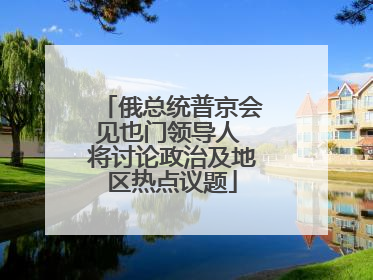 俄总统普京会见也门领导人 将讨论政治及地区热点议题