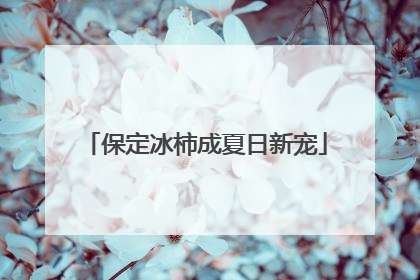 保定冰柿成夏日新宠