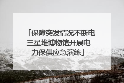 保障突发情况不断电 三星堆博物馆开展电力保供应急演练