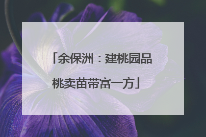 余保洲：建桃园品桃卖苗带富一方