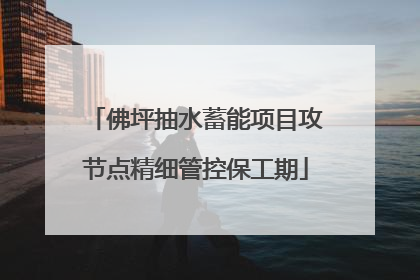 佛坪抽水蓄能项目攻节点精细管控保工期