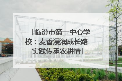 临汾市第一中心学校：麦香浸润成长路 实践传承农耕情