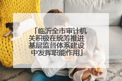 临沂全市审计机关积极在统筹推进基层监督体系建设中发挥职能作用