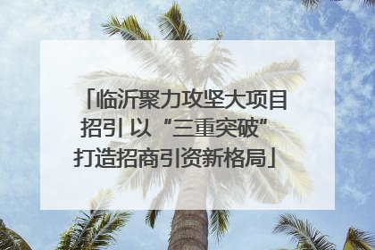 临沂聚力攻坚大项目招引 以“三重突破”打造招商引资新格局