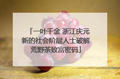 一叶千金 浙江庆元新的社会阶层人士破解荒野茶致富密码