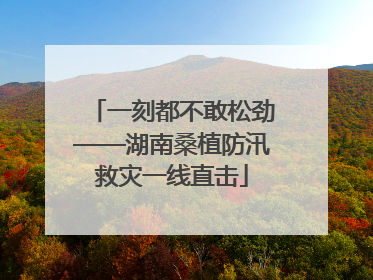 一刻都不敢松劲——湖南桑植防汛救灾一线直击
