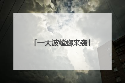 一大波螳螂来袭