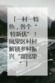一村一特色，各个“特新优”！凤泉区村村解锁乡村振兴“富民果”