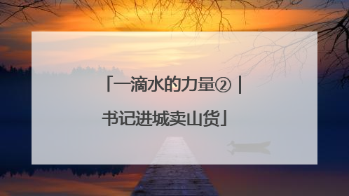 一滴水的力量②｜书记进城卖山货