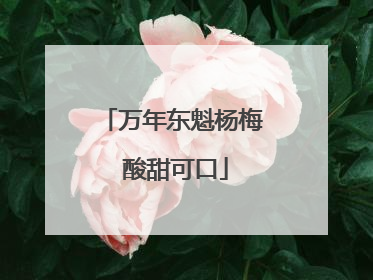 万年东魁杨梅 酸甜可口