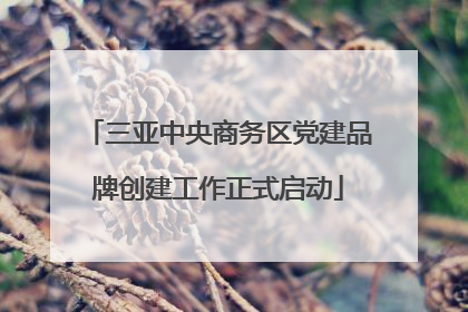 三亚中央商务区党建品牌创建工作正式启动